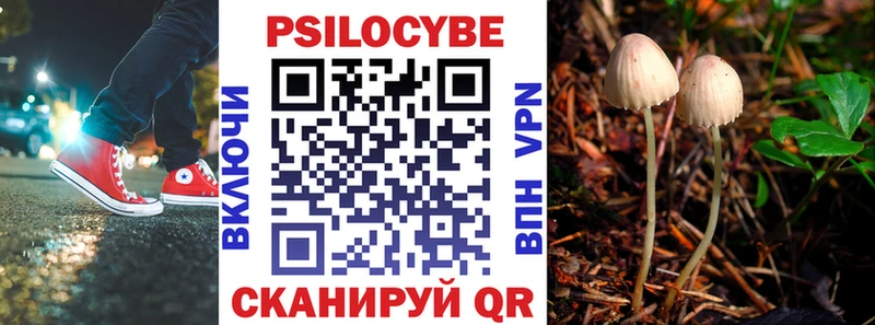 Галлюциногенные грибы мицелий  купить закладку  Николаевск 